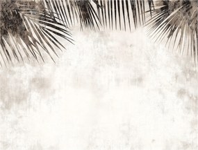 Fotótapéta Finom éteri pálmafák Absztrakt levelek 368x280 +ragasztó