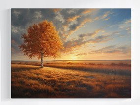 Vászonkép Canvas Tájkép Nyírfa Ősz Napnyugta 80x60