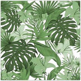 Poszterek 70x70 Monstera Modern minta
