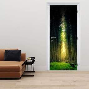 Fotótapéta ajtóra - Sötét erdő (95x205cm)