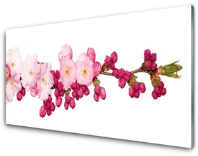 Fali üvegkép Cherry Blossom Twig 100x50 cm 2 fogas