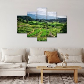 Rizsmező képe (150x105 cm)