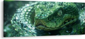 Kép - Egy kígyó portréja (120x50 cm)