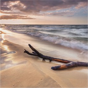 Flizelin fotótapéta Flizelin Design Nyugati strand 250x250