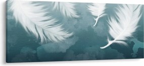 Kép - Fehér toll (120x50 cm)