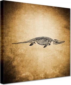 Képek 60x60 Dinosaur Prehistory Dino