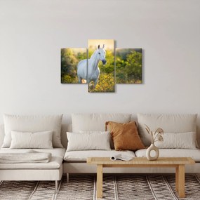 Egy fehér ló képe a réten (90x60 cm)