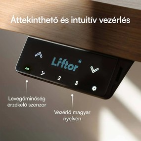 Elektromosan állítható magasságú asztal Liftor Expert, szürke