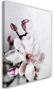 Gario Vászonkép Fehér magnólia virág - Dmitry Belov Méret: 40 x 60 cm