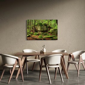 Egy varázslatos erdő képe (90x60 cm)