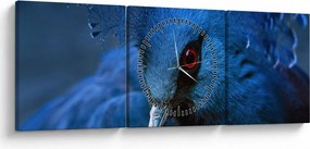 Kép - Koronás galamb (órával) (90x30 cm)