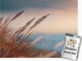 Fotótapéta Fű Természet Bézs Hálószoba Nappali Tapéta Flizelina 350x250