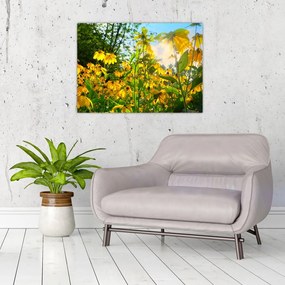 Sárga virágok képe (üvegen) (70x50 cm)