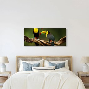 Ülő tukánok képe, Costa Rica (120x50 cm)