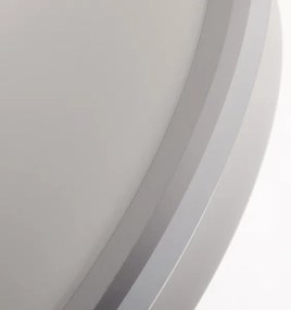 Philips - LED Fürdőszobai mennyezeti lámpa SPRAY LED/12W/230V IP44