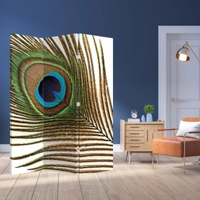 Paraván - Pávatoll (126x170 cm)