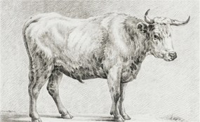 Fotótapéta Flizelina Nappali és Hálószoba Bika ceruza 416x254 Ragasztó