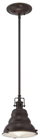 Quoizel EASTVALE QZ-EASTVALE-P-S Függőlámpa 1x60W/E27