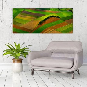 Kép - Mezők, rétek (120x50 cm)