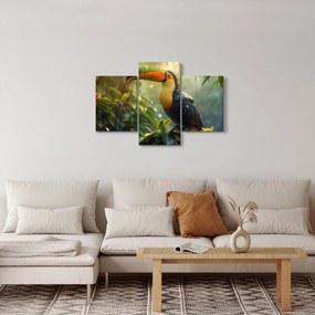 Kép - Tukan (90x60 cm)