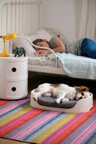Curver Bunkbed 3 az 1-ben fekhely cappuccino/kék
