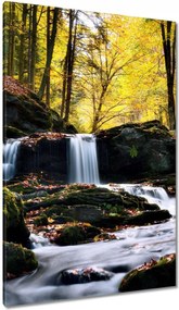 Vászonkép 80x120 Őszi vízesés