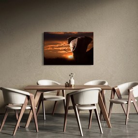 Elefánt képe (90x60 cm)