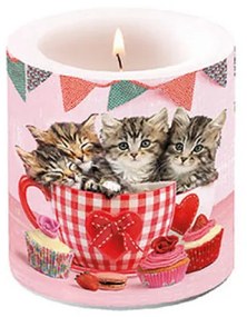Cicás átvilágítós viasz gyertya Cats in Tea Cups kicsi