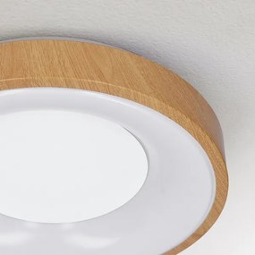 Brilagi - DORIA LED 48W stropní stmívatelné svítidlo 3000-6500K + DO