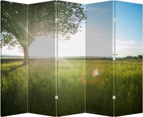 Paraván - Nyári rét (210x170 cm)