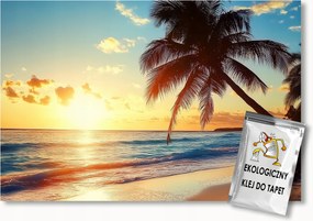 Fotótapéta Flizelina Tájkép Tengerpart Óceán Pálma Napnyugta 100x75 ragasztó