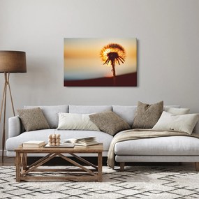 Egy pitypang képe naplementekor (90x60 cm)