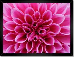 Poszterek keretben 40x30 Liliom