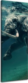 Vászonkép Lebegő elefánt a vízben Művészet 40x120 cm