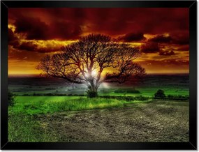 Poszterek keretben 40x30 Varázslatos fa tájkép