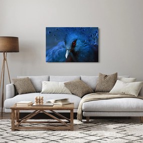 Kép - Koronás galamb (90x60 cm)