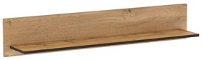 Polc Toriana D. 1017055