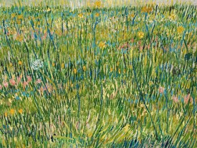 Festmény reprodukció A Patch of Grass - Vincent van Gogh, (40 x 30 cm)