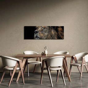 Kép - A fenséges oroszlán (órával) (90x30 cm)