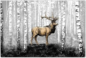 Poszterek 200x135 Szarvas Nyírfa Erdő