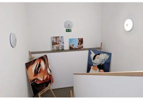 LED kültéri mennyezeti lámpatest mozgás- és alkonyatérzékelővel LED/16W/230V IP54