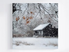 Vászonkép Canvas Tájkép Ház Fa Tél Hó Dér Jég Fagy 40x40