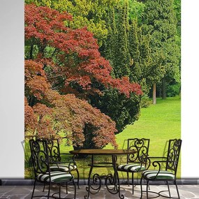 Garden poszter, fotótapéta, Vlies (206x275 cm, álló)