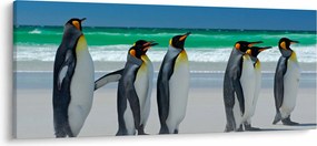 Kép - A Királyi pingvinek csoportja (120x50 cm)