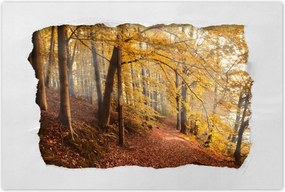 Poszterek 90x60 Tájkép Látvány