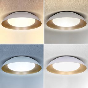 Brilagi - LED Dimmelhető lámpatest ALVA LED/48W/230V 3000-6500K Ø 51 cm fehér + távirányító