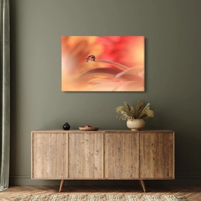 Virágos harmatcsepp képe (90x60 cm)