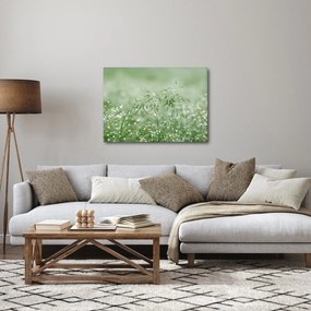 Kép - Harmat a fűben (70x50 cm)
