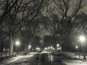 Poszter 40x30cm Éjszakai kilátás a Central Parkon át vezető útra, Assaf Frank