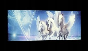 Vászonkép 145x45 Pegazus szárnyas ló misztika fantázia szabadság repülés mágia álom